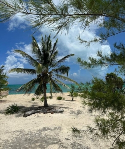 Re&So bienes raíces, Isla Blanca, Cancún